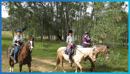 mudgeeraba-trail-club